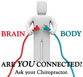 Brain / Body: Are you connected?  Ask your Chiropractor.
